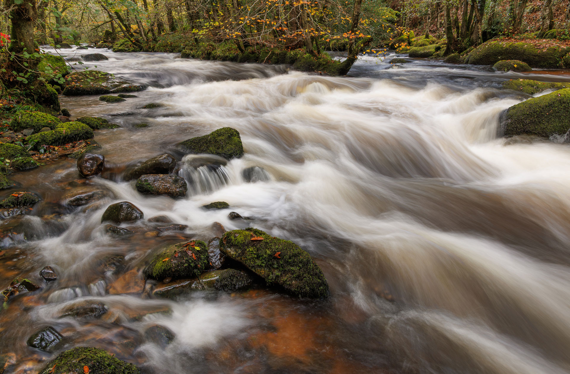 Autumn Flow