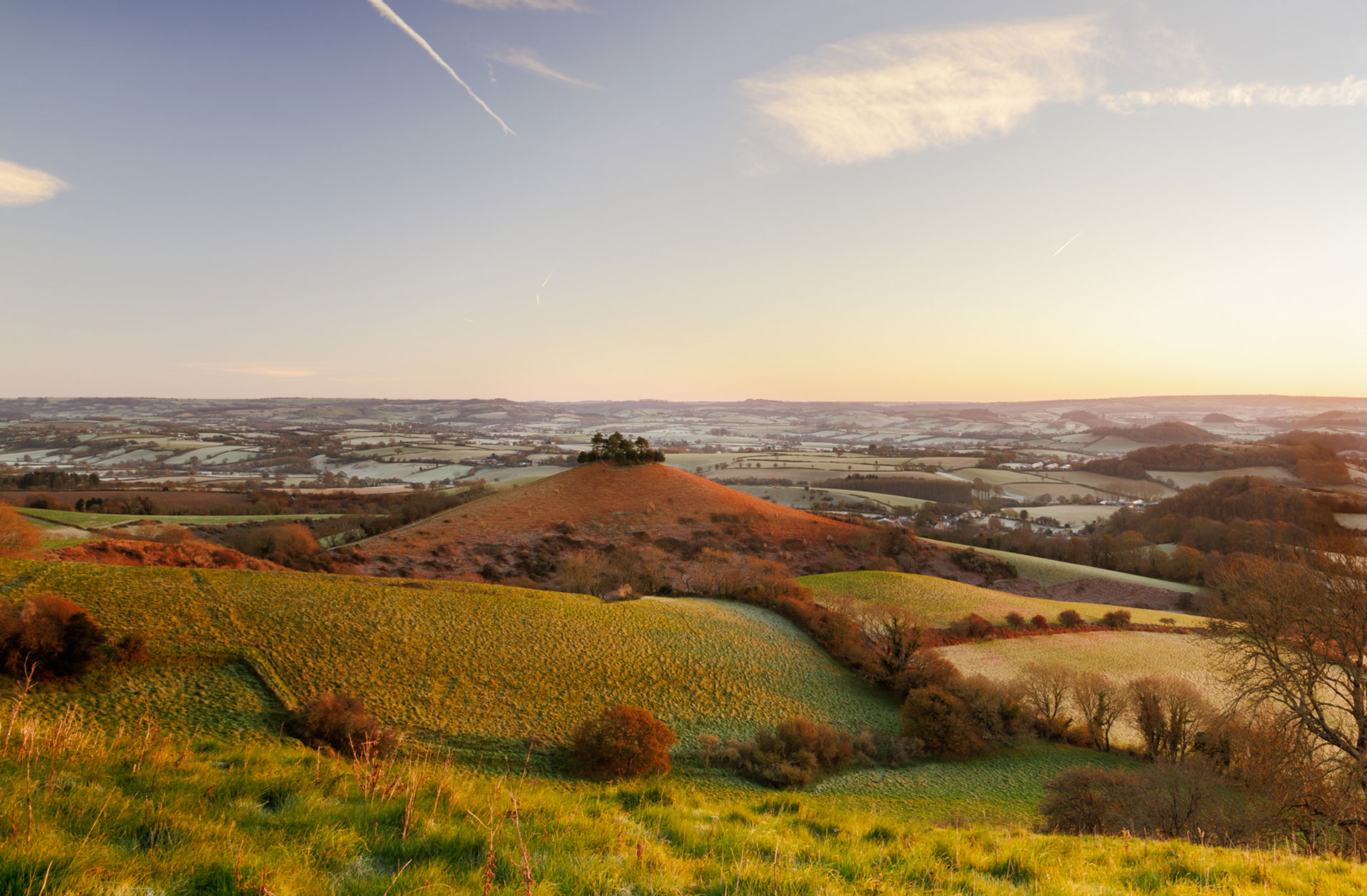 Golden Light at Colmers Hill
